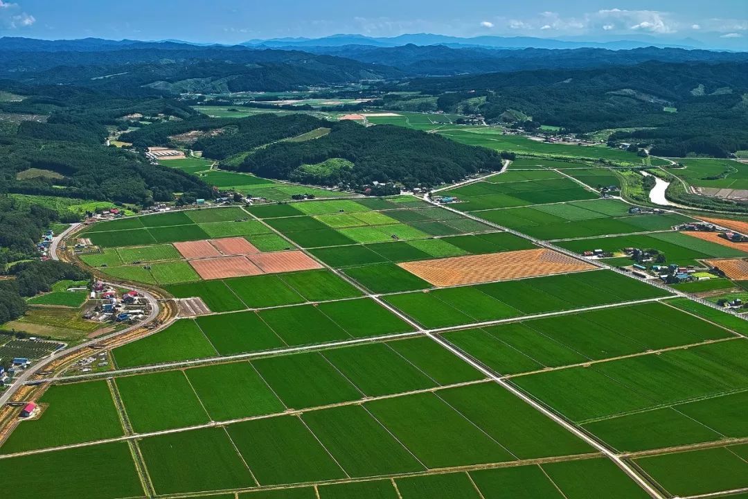 中國土地利用質(zhì)量顯著提升，助力經(jīng)濟高質(zhì)量發(fā)展