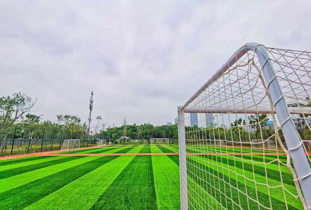 以人口為“定位器”布局體育公園，彰顯民生含金量