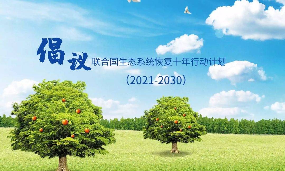 人居要聞|聯(lián)合國發(fā)布“2021-2030年生態(tài)系統(tǒng)修復(fù)十年”計(jì)劃倡議