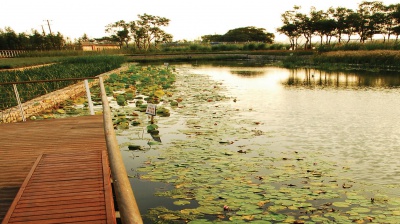 生態(tài)設(shè)計(jì)系統(tǒng)：上海世博后灘公園景觀(guān)設(shè)計(jì)