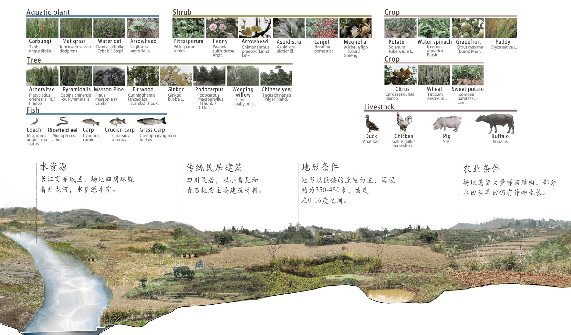 圖4場(chǎng)地動(dòng)植物資源分析（作者自繪）.png