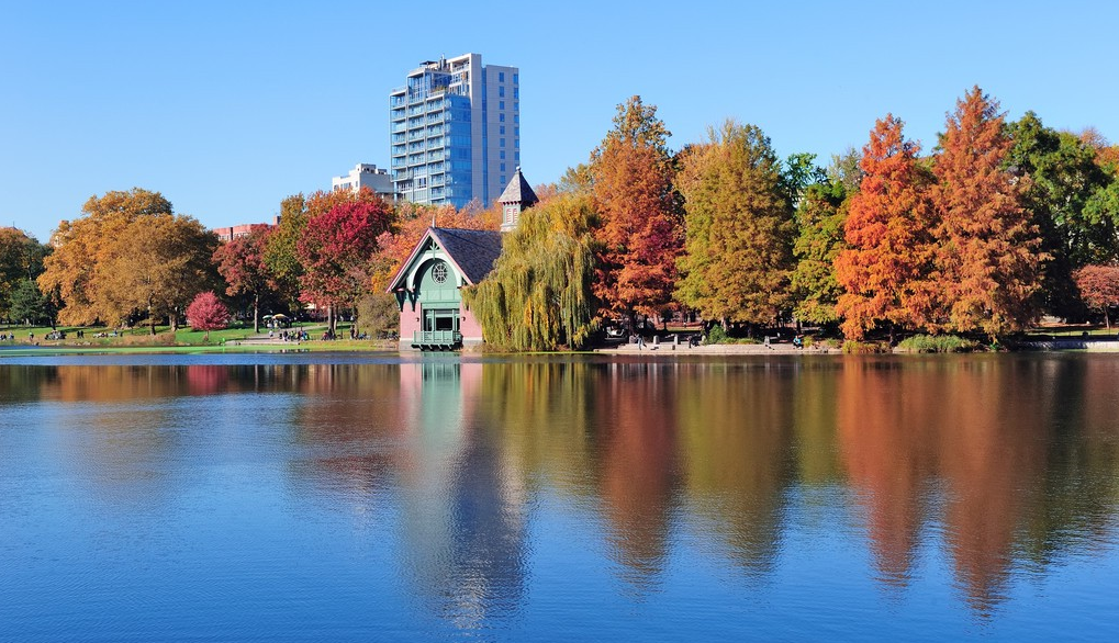 紐約中央公園湖泊.png