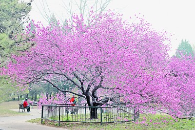 人居要聞|國家植物園，不只是看起來很美