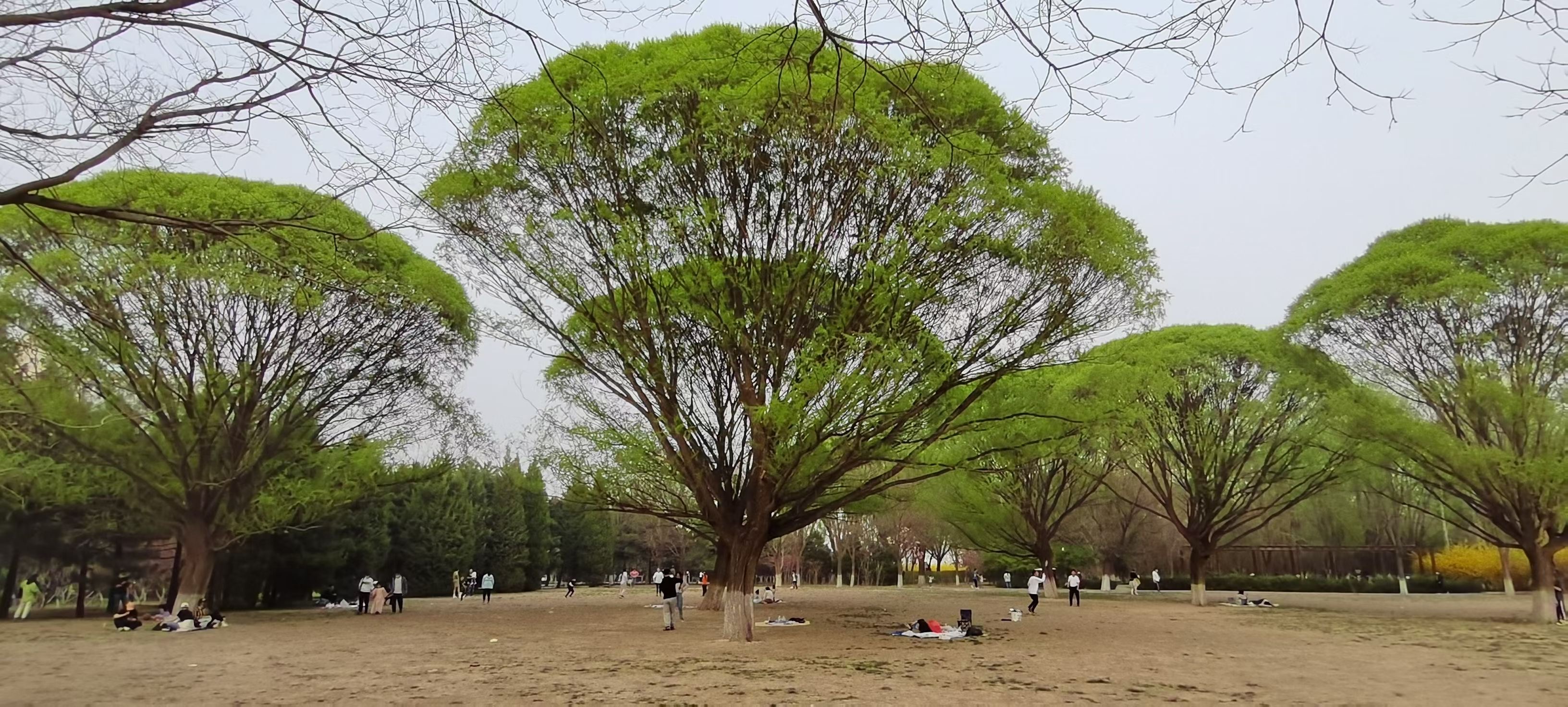 北京奧森公園景觀.jpg